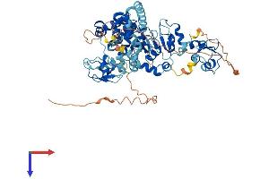 BIRC2 Protein (AA 1-618) (His tag)
