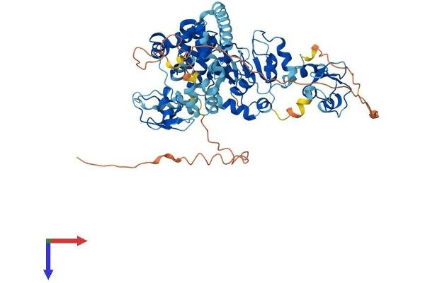 BIRC2 Protein (AA 1-618) (His tag)