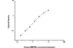 BMPR2 ELISA Kit