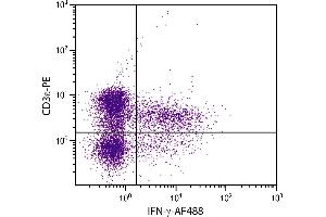 PMA and ionomycin stimulated BALB/c mouse splenocytes were stained with Rat Anti-Mouse CD3ε-PE. (Interferon gamma Antikörper  (Biotin))