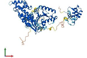 AlphaFold protein structure predicition of Mouse Recombinant Ehd2 Protein, UniprotID Q8BH64