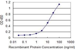 Detection limit for recombinant GST tagged RBPMS is 0. (RBPMS Antikörper  (AA 1-219))