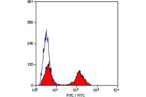 Staining of human peripheral blood lymphocytes with MOUSE ANTI HUMAN CD5:FITC (CD5 Antikörper  (FITC))