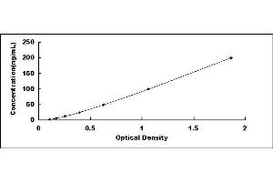 Typical standard curve (HSP90 ELISA Kit)