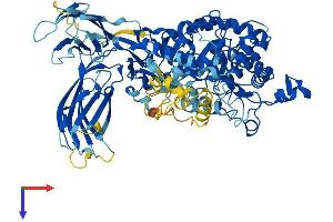 PLA2G4B Protein (AA 1-781) (His tag)