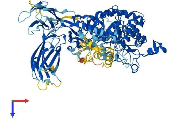PLA2G4B Protein (AA 1-781) (His tag)