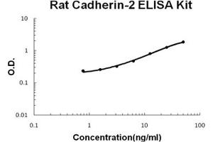 Rat Cadherin-2/N-Cadherin PicoKine ELISA Kit standard curve