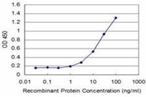 Detection limit for recombinant GST tagged FOXO1A is approximately 1ng/ml as a capture antibody. (FOXO1 Antikörper  (AA 556-655))