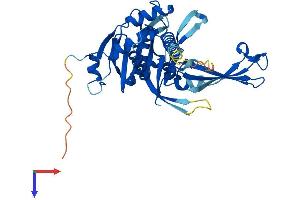 USP46 Protein (AA 1-366) (His tag)