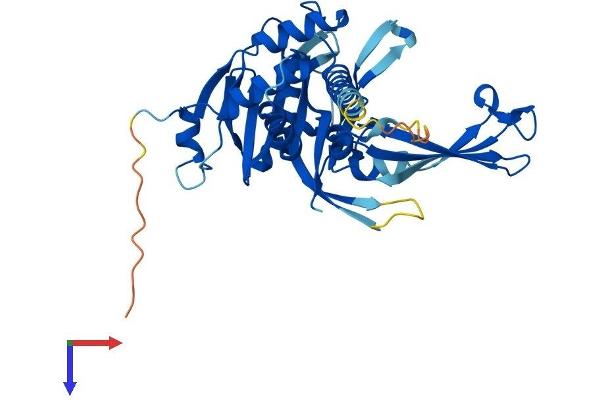 USP46 Protein (AA 1-366) (His tag)