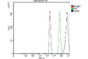 Flow Cytometry analysis of HEPA1-6 cells using anti-Tim 2/Timd2 antibody (ABIN7602933).