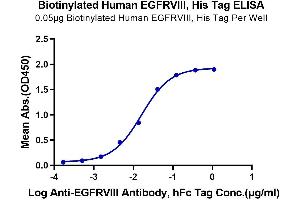 Immobilized Biotinylated Human EGFRVIII, His Tag at 0. (EGFRviii Protein (AA 25-378) (His-Avi Tag,Biotin))