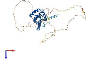 BCL2L13 Protein (AA 1-434) (His tag)