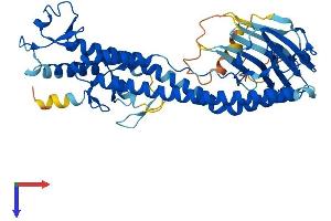 AlphaFold protein structure predicition of Human Recombinant TRIM49C Protein, UniprotID P0CI26