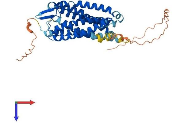P2RY2 Protein (AA 1-373) (His tag)