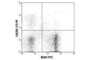 Flow Cytometry (FACS) image for anti-Chemokine (C-X-C Motif) Receptor 3 (CXCR3) antibody (PE) (ABIN2663112) (CXCR3 Antikörper  (PE))