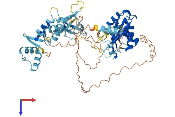 GIN1 Protein (AA 1-518) (His tag)