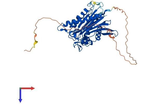 ILKAP Protein (AA 1-392) (His tag)