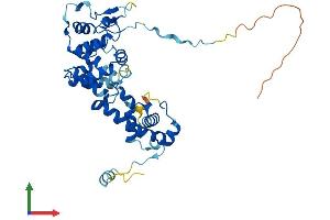 AlphaFold protein structure predicition of Human Recombinant EBLN1 Protein, UniprotID P0CF75