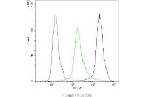 Flow cytometry testing of human HeLa cells with CB1 antibody at 1ug/10^6 cells (blocked with goat sera) (CNR1 Antikörper)