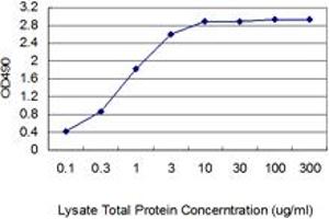 ELISA image for CNN1 (Human) Matched Antibody Pair (ABIN1341014)