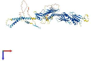 MED17 Protein (AA 1-649) (His tag)
