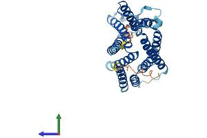 AlphaFold protein structure predicition of Human Recombinant SLC35D2 Protein, UniprotID Q76EJ3