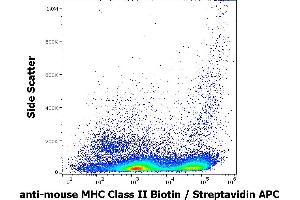 Flow cytometry surface staining pattern of murine splenocyte suspension using anti-mouse MHC Class II (M5/114) Biotin antibody (concentration in sample 9 μg/mL, Streptavidin APC). (MHC Class II Antikörper  (Biotin))