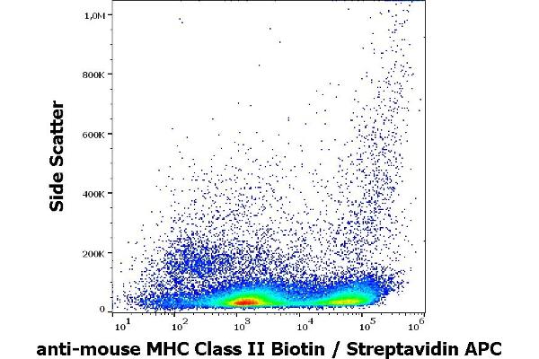 MHC Class II Antikörper  (Biotin)