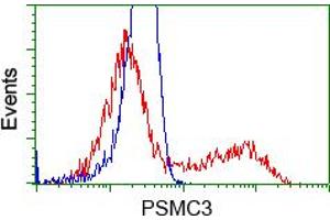 Image no. 5 for anti-Proteasome (Prosome, Macropain) 26S Subunit, ATPase, 3 (PSMC3) antibody (ABIN1501331) (PSMC3 Antikörper)
