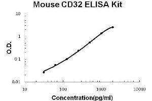 ELISA image for Fc Fragment of IgG, Low Affinity IIb, Receptor (CD32) (FCGR2B) ELISA Kit (ABIN2859328)