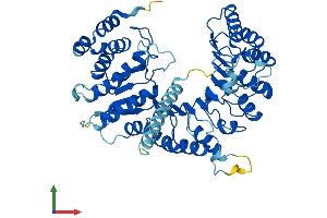 AlphaFold protein structure predicition of Human Recombinant LRRC14B Protein, UniprotID A6NHZ5