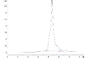 Size-exclusion chromatography-High Pressure Liquid Chromatography (SEC-HPLC) image for Fibulin 3 (FBLN3) (AA 18-493) protein (His tag) (ABIN7274512)