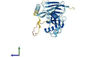 Protein Structure (PS) image for PIH1 Domain Containing 1 (PIH1D1) (AA 1-290) protein (His tag) (ABIN7560550)