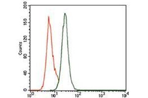 Flow cytometric analysis of MOLT4 cells using PCNA mouse mAb (green) and negative control (purple). (PCNA Antikörper  (AA 53-196))