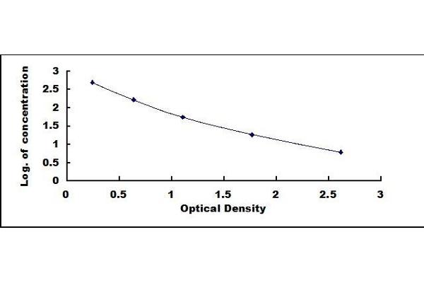 Endothelin 1 ELISA Kit