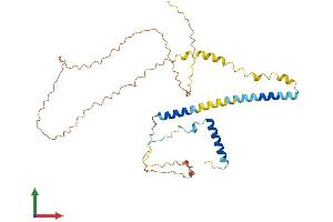 Protein Structure (PS) image for arginine/serine-Rich Coiled-Coil 1 (RSRC1) (AA 1-334) protein (His tag) (ABIN7545865)