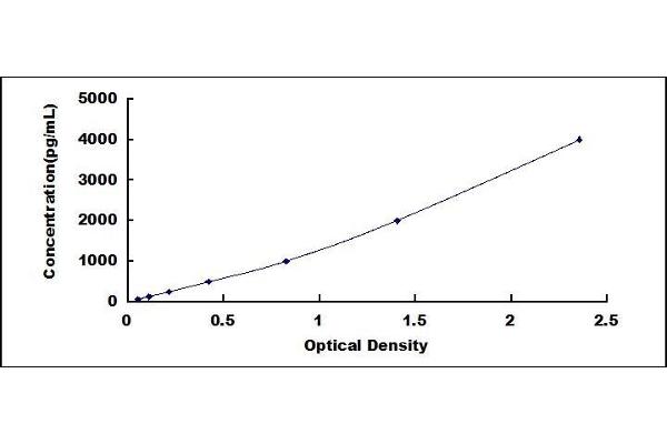 IGFBP2 ELISA Kit