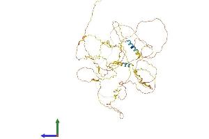 Protein Structure (PS) image for APC Membrane Recruitment Protein 2 (AMER2) (AA 1-671) protein (His tag) (ABIN7551999)