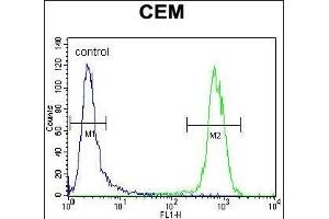 PON1 Antibody (Center) (ABIN654641 and ABIN2844338) flow cytometric analysis of CEM cells (right histogram) compared to a negative control cell (left histogram). (PON1 Antikörper  (AA 118-145))