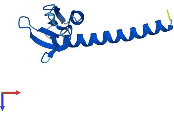 POLR2J Protein (AA 1-117) (His tag)