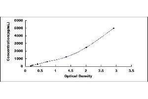 NPR2 ELISA Kit