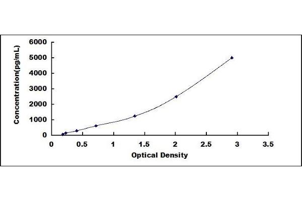 NPR2 ELISA Kit