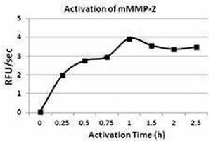 ELISA image for Matrix Metalloproteinase 2 (MMP2) (AA 34-662), (C-Term) (Active) protein (ABIN2666505) (MMP2 Protein (AA 34-662, C-Term))