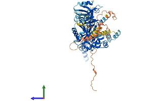 Protein Structure (PS) image for Membrane Protein, Palmitoylated 4 (MAGUK P55 Subfamily Member 4) (MPP4) (AA 1-637) protein (His tag) (ABIN7549446)