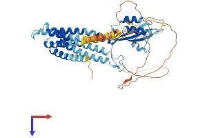 SLC30A10 Protein (AA 1-485) (His tag)