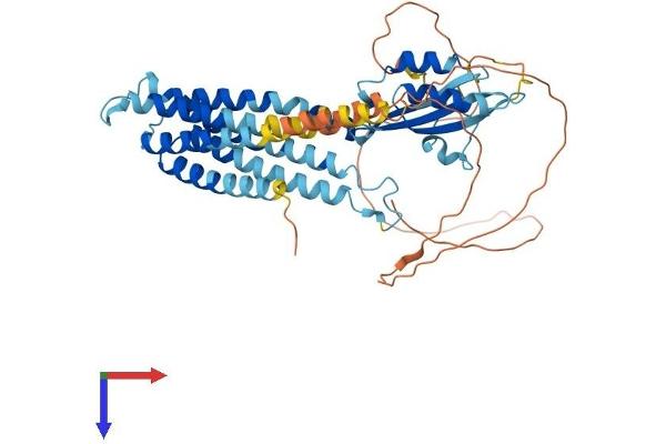 SLC30A10 Protein (AA 1-485) (His tag)