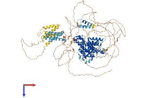 PDE3A Protein (AA 1-1141) (His tag)