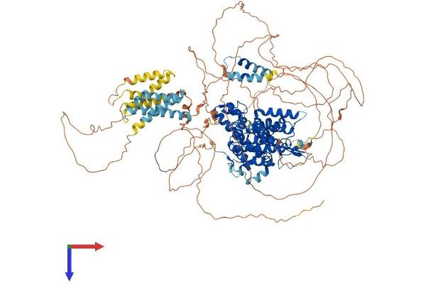 PDE3A Protein (AA 1-1141) (His tag)
