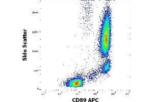 Flow cytometry surface staining pattern of human peripheral whole blood stained using anti-human CD89 (A59) APC antibody (10 μL reagent / 100 μL of peripheral whole blood). (FCAR Antikörper  (APC))